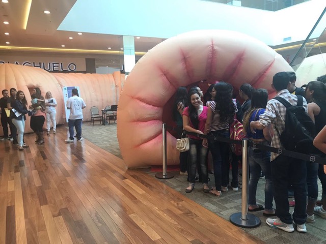 Ribeir&atilde;o Preto, 2017